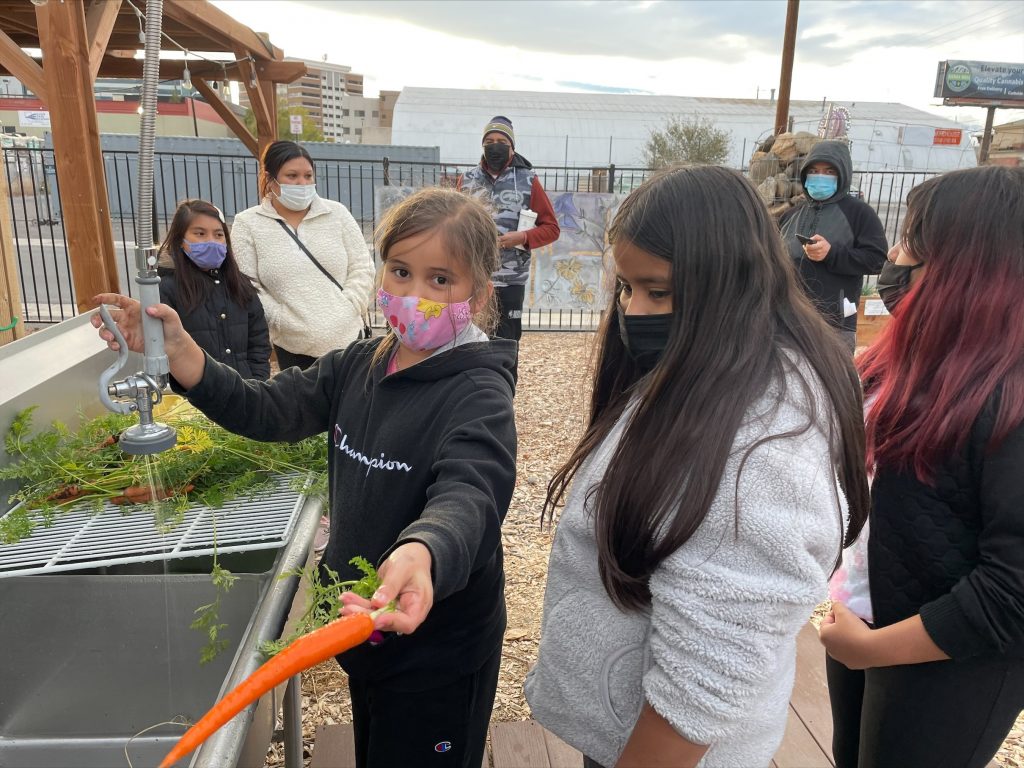 healthy-living-program-urban-roots